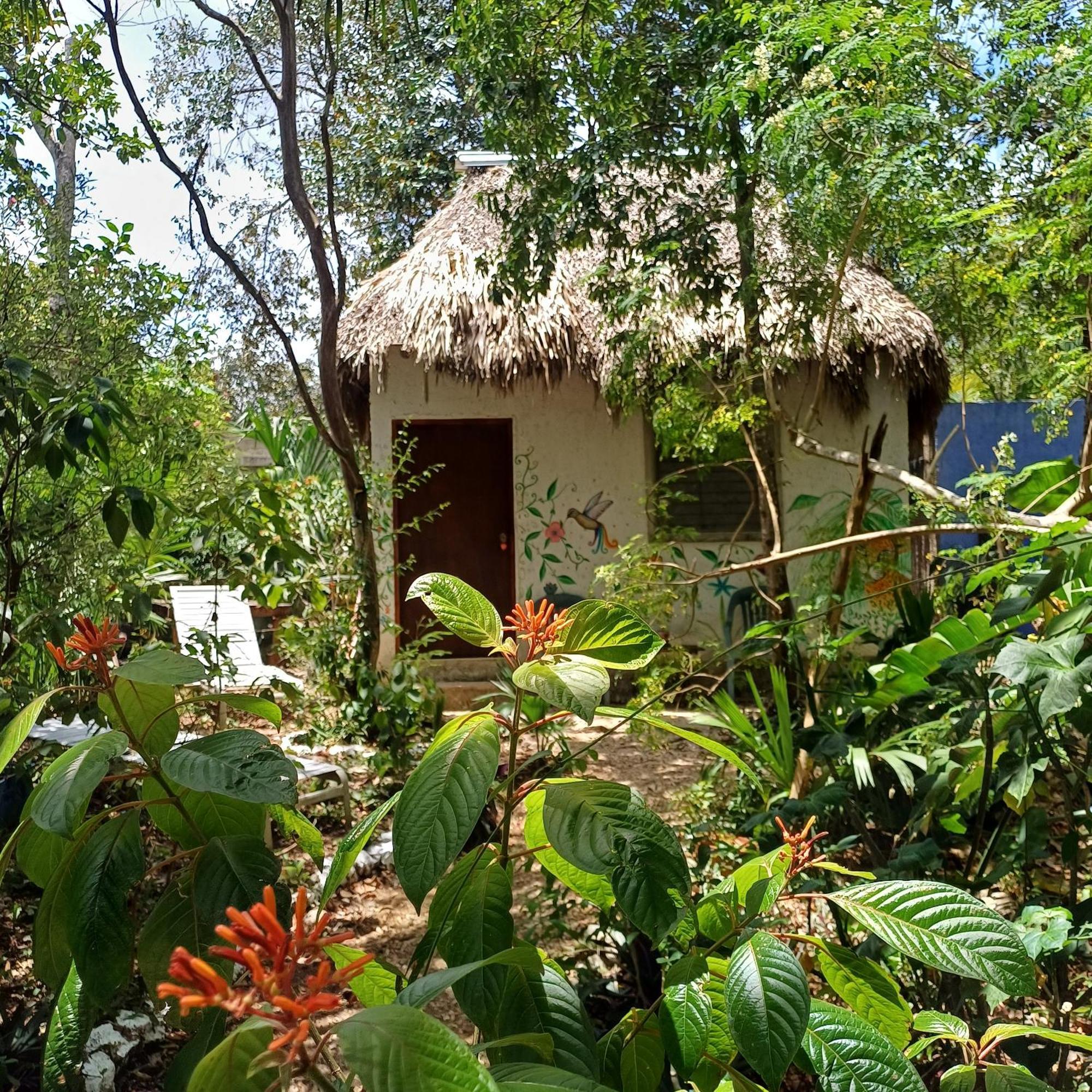 Mayan Bungalow Near Chichen Exteriér fotografie